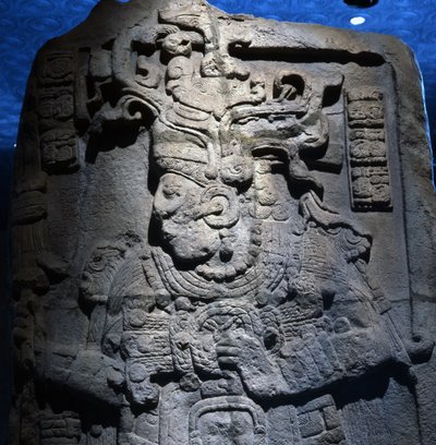 Stele da Calakmul, Penisola dello Yucatan, Messico, periodo tardo classico da Mayan